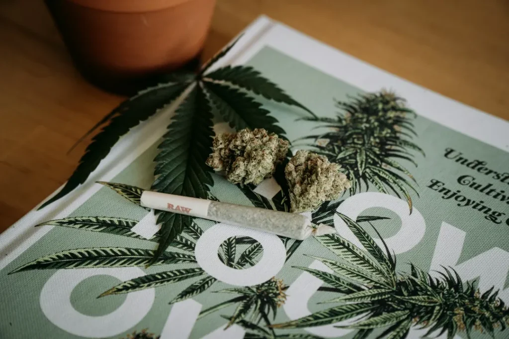 cannabis joint and buds on magazine
